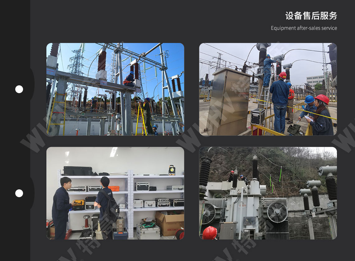  部门放电检测系统(图5)